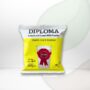 Diploma Instant Full Cream Milk Powder 200g